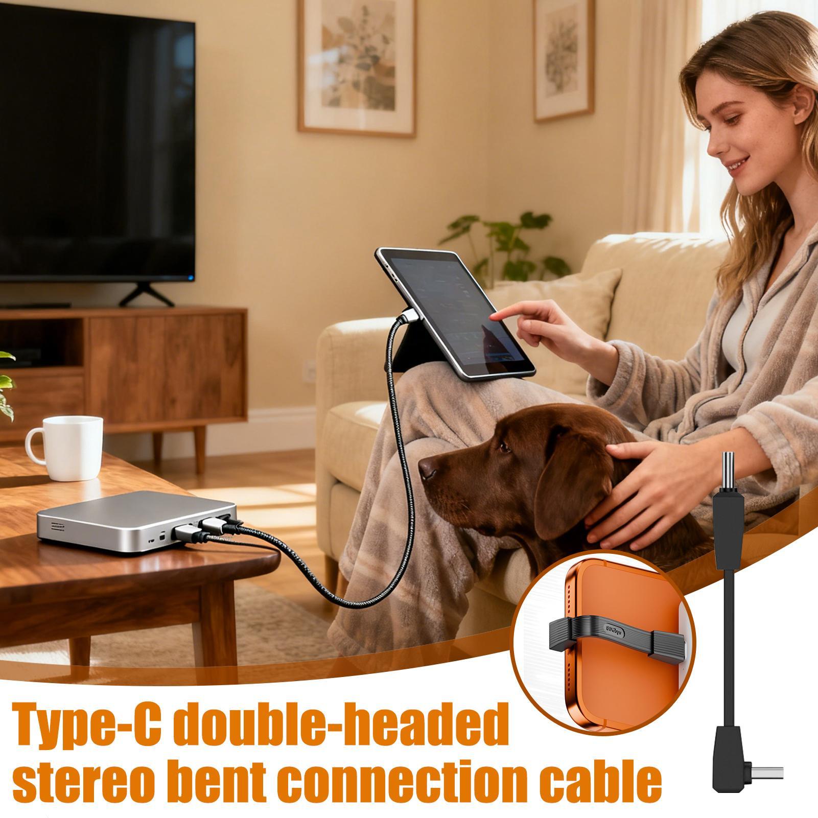 USB C-datakabel Hoge snelheid  - Home Office Dictionary recensie en prijs